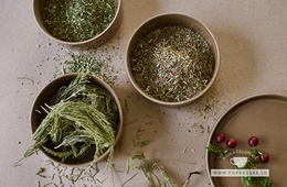 Bylinky na močové cesty: Ktoré zmiernia zápal?