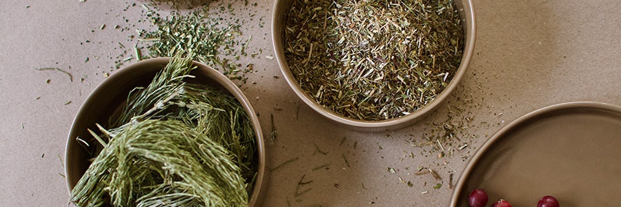 Sušené bylinky na močové cesty