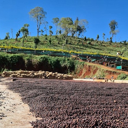 Ethiopia Bale Mountain