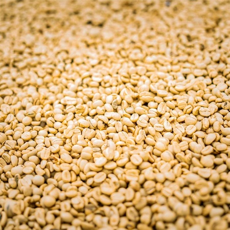 Kávové zrná specialty coffee Papua New Guinea