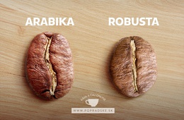 Arabica vs Robusta - Aké sú hlavné rozdiely medzi?