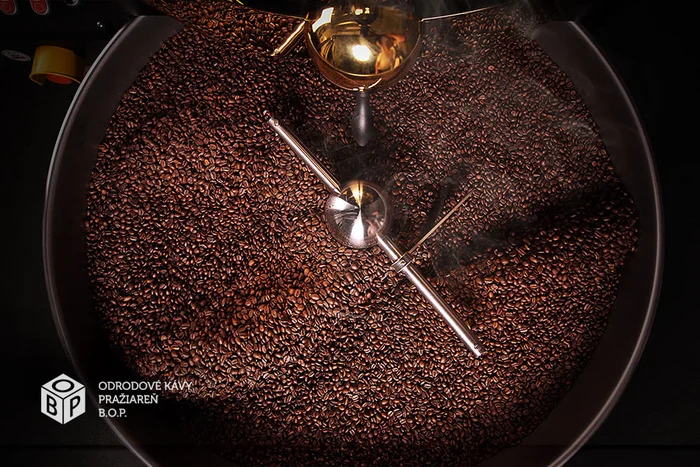 Specialty coffee: Čo sú kávové vlny a ktorej vďačíme za vznik?