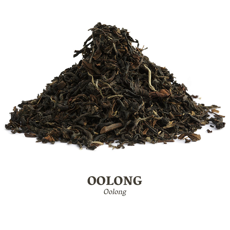 Oolong