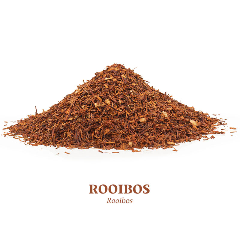 Rooibos