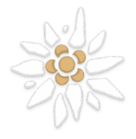 Ilustračný obrázok - halúzka