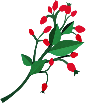 Ilustračný obrázok - halúzka