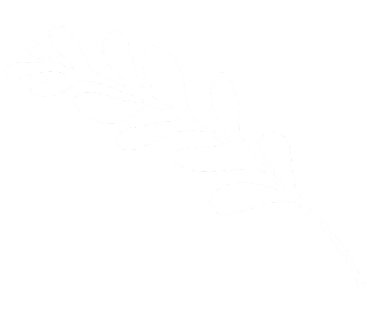 Ilustračný obrázok - halúzka