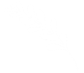 Ilustračný obrázok - halúzka