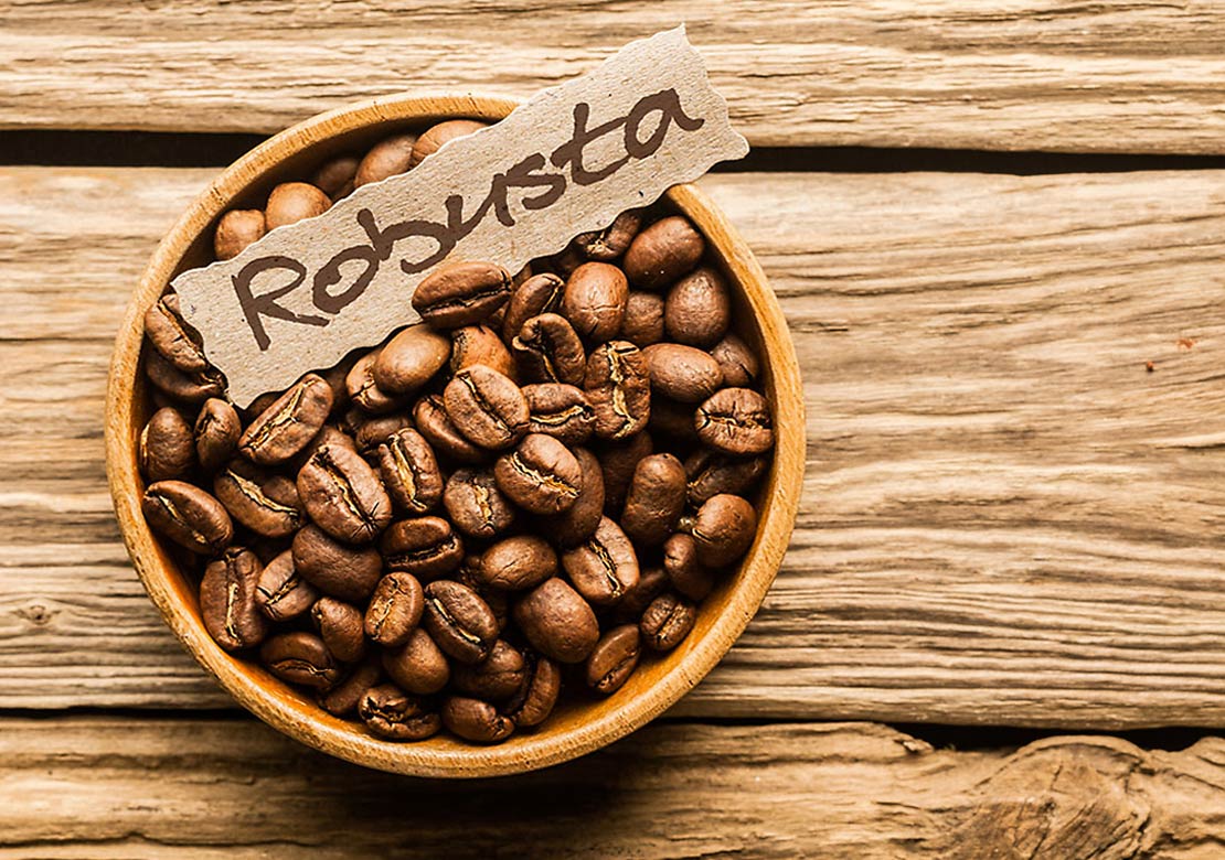 Robusta